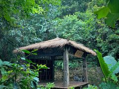 -梧桐山风景名胜区