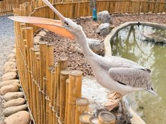 -茅山东方盐湖城景区