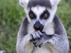 -杭州野生动物世界