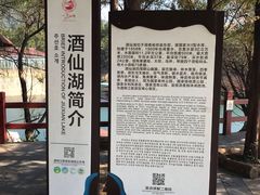 -酒仙湖景区