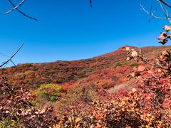 -周口店坡峰岭风景区