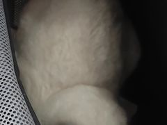 -全心全意连锁动物医院·微创中心·内科急重症·心脏专科(丰管路店)
