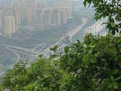 -南山植物园