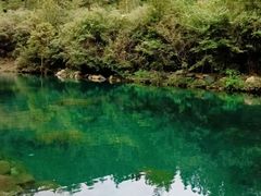 -石台牯牛降景区