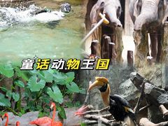 -长鹿旅游休博园