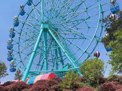 -南京银杏湖乐园