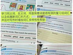 -瑞丁熊原版阅读(大华校区)