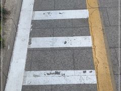 -新白鹿餐厅(金鹰新街口店)