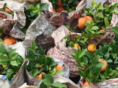 -东川新街市(东川市场店)