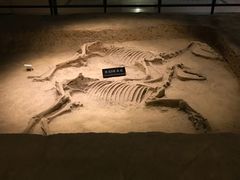 -洛阳周王城天子驾六博物馆