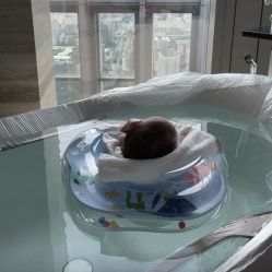 -圣贝拉母婴护理中心(广州瑰丽店)