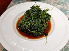 -金枝玉叶上海人家食府(三里河店)