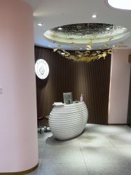 -MUSES专业脱毛比基尼サロン日式连锁