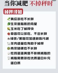 -Fundi张玉珊修身堂·indiba·BTL科技瘦身