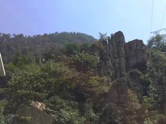-老幺泉水鸡