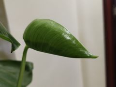 -张钰强中医正骨推拿连锁(唐家人才公寓店)