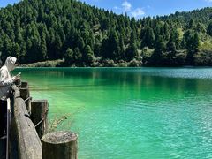 -武陵山森林公园