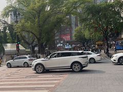 -味子夫鸡柳(解放碑总店)