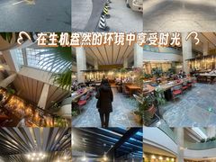 -大书房咖啡(中传国交店)
