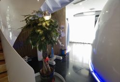 -比华利美容医院