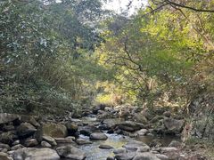 -象头山国家级自然保护区