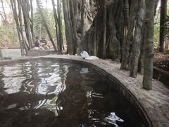 -龙达温泉生态城