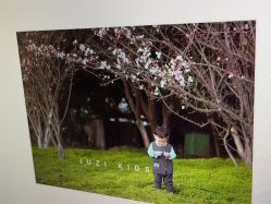 -桔子摄影(马鞍山店)