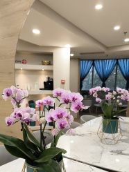 -酉嘉瑜伽YO+YOGA