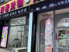 -青奢宠物·青奢猫舍