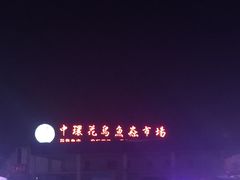 -中环花鸟鱼虫市场