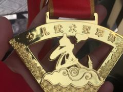 -武术世家少儿培训中心(首都体育学院店)