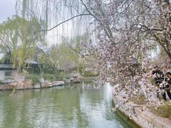 -济南大明湖景区