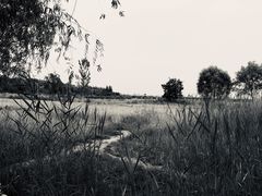 -绿堤公园