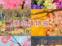 -南山植物园