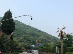 -平湖九龙山旅游度假区