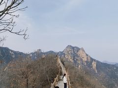 -大岭沟猕猴桃谷风景区
