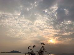 -上海市保健医疗中心