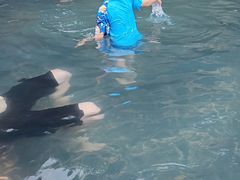 -江门古兜温泉小镇