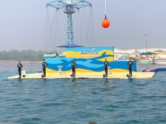 -秦皇岛乐岛海洋王国