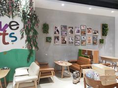 -藏猫猫咖啡主题馆(中央大道店)