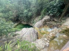 -南海湾森林生态园
