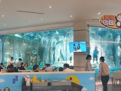 -帝企鹅自助餐厅•儿童岛•真企鹅(长隆企鹅酒店)