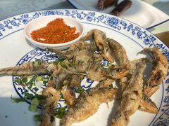 -高坎一品甲鱼庄(两河店)