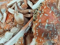-滑记海鲜饭店·老字号(海鲜街店)