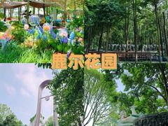 -老鼎万春卤菜(五代传承创始老店)