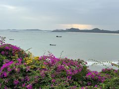 -漳州滨海火山岛自然生态风景区