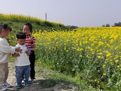 -乌村