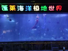 -蓬莱欧乐堡海洋极地世界