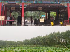 -济南大明湖景区