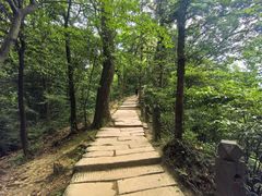 -青城山